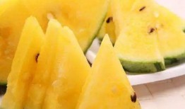 娱乐吃瓜地,吃瓜群众背后的故事