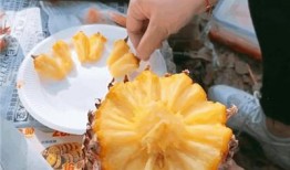 抖音网红菠萝酱吃瓜,揭秘娱乐圈幕后真相